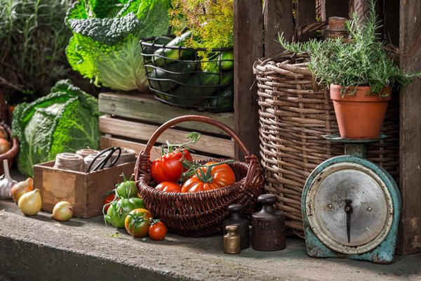 Quelles sont les étapes pour organiser un festival gastronomique autour des plats mijotés traditionnels?